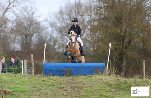 Poney 2