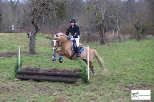Poney 2