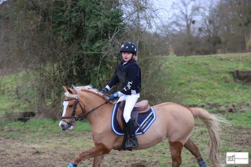 Poney 2