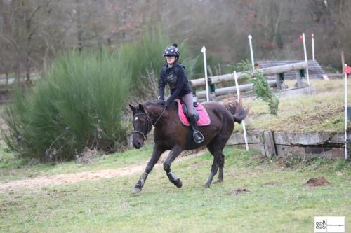 Poney 1