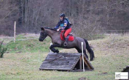 Poney Elite